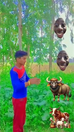 The Absurdity of Animal VFX Explained