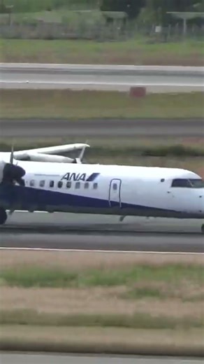 伊丹空港を離陸するANAプロペラ機 #shorts #伊丹空港 #飛行機 #ANA