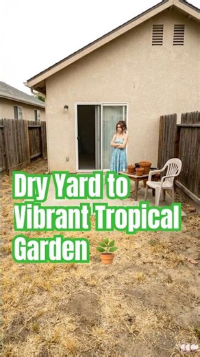 Backyard Makeover | Dry Yard to Vibrant Tropical Garden 🌿✨
