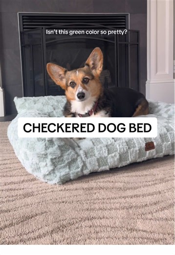 This is a size large and it’s perfect. #dogs #dog #corgi #dogbed