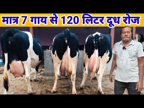 small dairy farm business plan | dairy farming in india