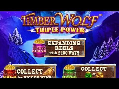 $25 Bankroll → Last Spin Bonus | Timber Wolf Triple Power ($0.40 Bet)