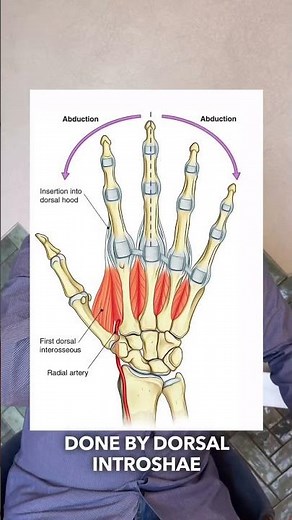 Finger Movements Explained ✋ | Dorsal vs Palmar Interossei | MBBS Anatomy Basics