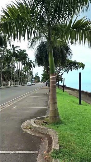 Fiji's Parliament building is absolutely stunning 🏛️🌿 #shorts