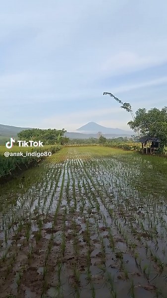 Anak indigo 80 on TikTok
