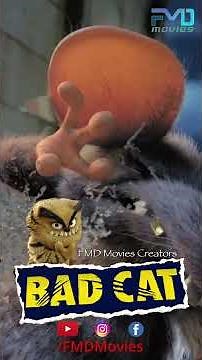 He’s not your cute, cuddly cat!🐾 Watch Bad Cat now