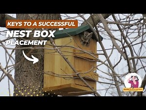 The KEYS to Successful Nest Box Placement