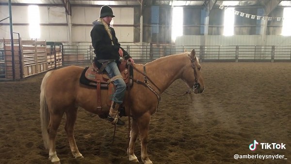 🩵 WHEELCHAIR WEDNESDAY from the vault of 2016 and Maximus! He was my rope horse!! 🐴 😍This would be a good one to make an updated video so I will! #wheelchairwednesday #walkriderodeo #amberleysnyder