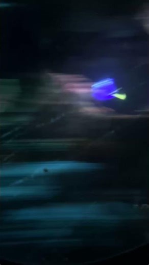 Finding Nemo entire ride time-lapse‪@Disneyland‬