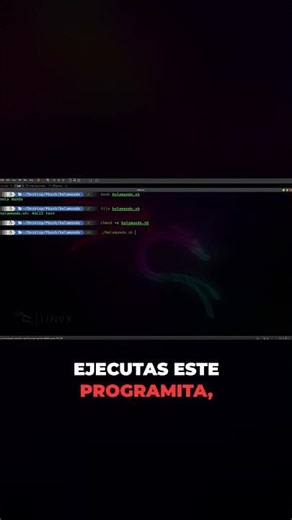 Primer script Bash en Kali Linux