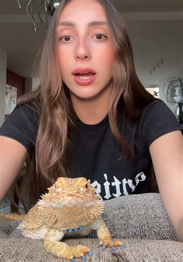 Stygian Fearless Album Review