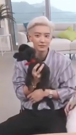 Explore EXO-SC's Adorable Pets and Their Unique Personalities!