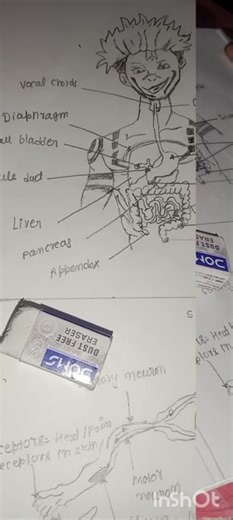 DRAWING#drawing #diagram #class #shortsfeed