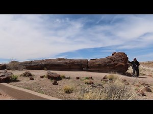 Giant Logs Trail - Petrified Forest National Park - Arizona