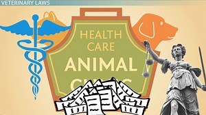 Veterinary Law & Common Law - Video | Study.com