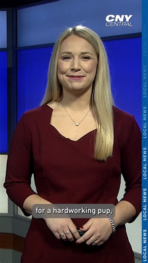 Veterans Expo, Holiday Shoppes, Nutcracker, Harvest Moon Mkt and more in CNY this weekend! 😁 | CNYCentral.com