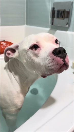 April Showers Moves & Muddy Paws