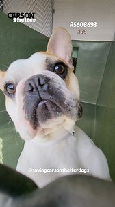 129 reactions · 109 shares | A5608693 ✰ Unknown -2/16/24-  Please...