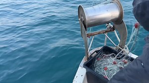Massive Illegal Fishing Net Discovered in Gulf of Trieste. More InTrieste TV here: https://www.intrieste.com/2024/12/28/massive-illegal-fishing-net-discovered-in-gulf-of-trieste/ | InTrieste