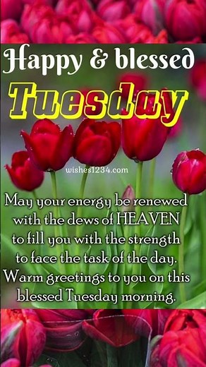 Tuesday Blessings: Elevate Your Day with Tuesday Status & Happy Wishes! ☀️💖 #Tuesday #Status #FYP"