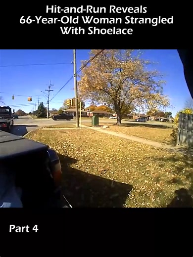 Investigation of Hit-and-Run Case Involving 66-Year-Old Woman