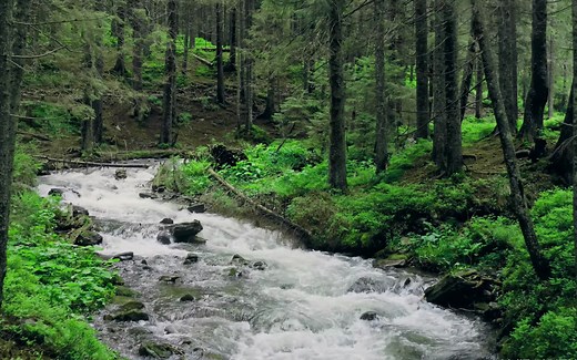 4K60P 唯美治愈风景 大自然的味道，风景视频素材