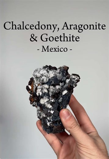 Let’s take a look at Chalcedony & aragonite on goethite from the La Condesa Mine, Santa Eulalia, Chihuahua, Mexico ✨ These specimens record multiple stages of mineral growth. Iron minerals first oxidised to form the goethite matrix. Silica-rich fluids later deposited chalcedony, followed by carbonate fluids forming aragonite crystals ✨ A small piece of the hydrothermal history of Santa Eulalia preserved in one specimen ✨ #MineralCollection #mineral #crystaltok #crystals #ukcrystalshop