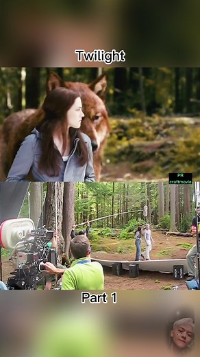 It turns out that the wolf in Twilight was shot like this!!#behindthescene #netflix #foryou #Twilight