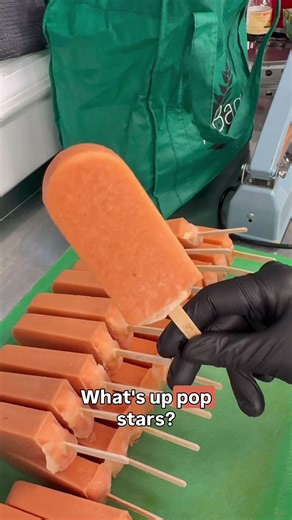 MELONTOPIA: Farm-Fresh BTS Popsicle Creation