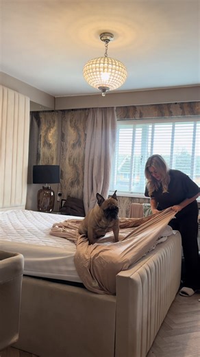 The dog never lets me make the bed without him surfing on it 😭😆 #ditl #pregnant #pregnancy