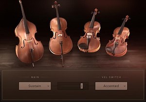 Native Instruments Session Strings 2 Virtual Strings Plug-in