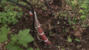 Vandals destroy new 911 call box in park with no cellphone service