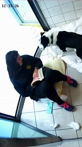 291K views · 1K reactions | When you're trying to read but Oscar...