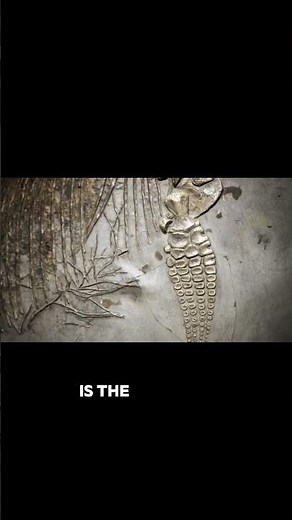 Sedimentology - Stratigraphy_ Deciphering Earth's History One Layer at a Time