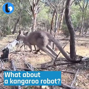 😱😳😒Kangaroo Robots ... What's next ??? 🤔 | TechnoBuffalo Show