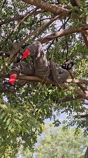 Pick your battles wisely this year💀😂. THERE IS SCRATCHED ECONET AIRTIME PLACED IN THIS VIDEO. FIND IT, RECHARGE IT & SEND THE SCREENSHOT IN THE COMMENT SECTION. ATANGA ATANGA! SPONSORED BY @Sona Solar Zimbabwe