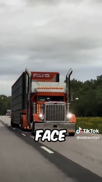 Did you know that there is a truck driver who isn’t allowed to go to the bathroom without government permission ? #cars #mechanics #tips #foryou #usa