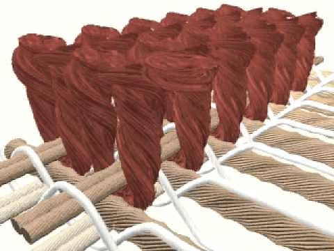 Wilton weaving video