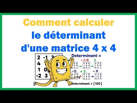 How to calculate the determinant of a 4x4 matrix