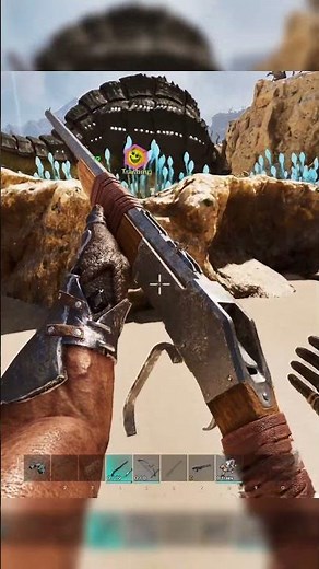 How To Tame The Grand Tortugar