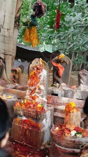 Visiting Thadiparthi Nagendra Swami Temple 🙏 | Blessings Behind Kids Birth 🙏 |