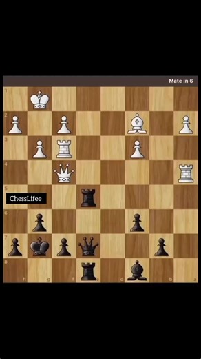 I want Gotham to just yell at these insane moves ♟️🖤 #chess #chesstok #chesstok #chessmaster #chesstiktok #chessgame #chessplayer #شطرنج #echecs #fyp #chessmove #chessmoves #foryoupage #chessman #fypage #fyp #foryou #checkmate