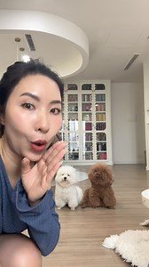 Thử chơi trốn tìm với Boo và Bánh Bao xem đứa nào kiếm thấy tui nhanh hơn | Chang Shu Gờ - Mẹ Boo Bánh Bao