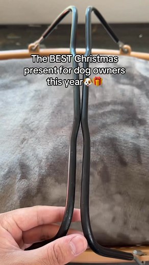 236K views · 148 reactions | The best small dog gift this year! #dogs #SmallDogs | ToastyHoody | Facebook