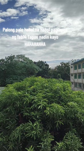 Ethormelano123 (@ethor.x)’s videos with original sound - 𐙚⋆°.nixc's✧ᰔᩚ