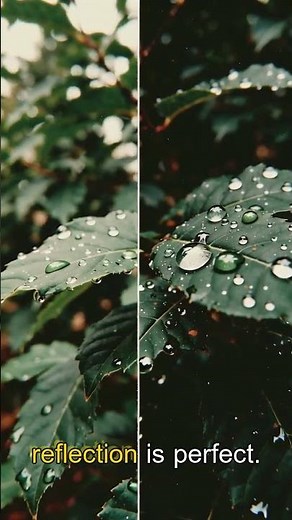 Source 2 VR Just Changed Reality Forever 🤯