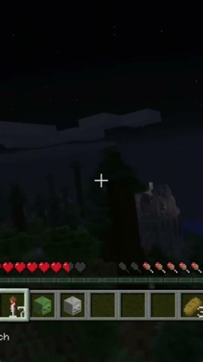 Bro, That Nether Portal in the Minecraft: Xbox One Edition Tutorial World..