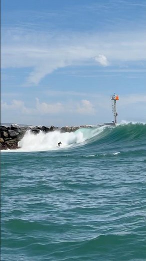 Surfers SHREDDING the Newport Harbor novelty wave!!! #Surfing #NewportBeach