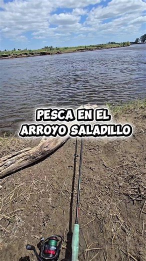 Un video un poco largo de las capturas en el arroyo saladillo📍🫡🎣🎣 #naturaleza #pesca #fishing #pescadeportiva #viral