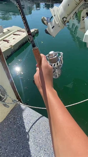 #fypシ #fyp #vanstaal #vanstaalvr #fishing | fishing